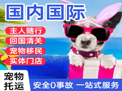 桂林机场邮寄国际宠物托运 【国